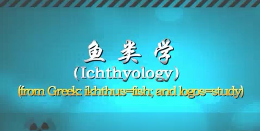 鱼类学视频教程 54讲 陈明茹 刘敏 王军 厦门大学